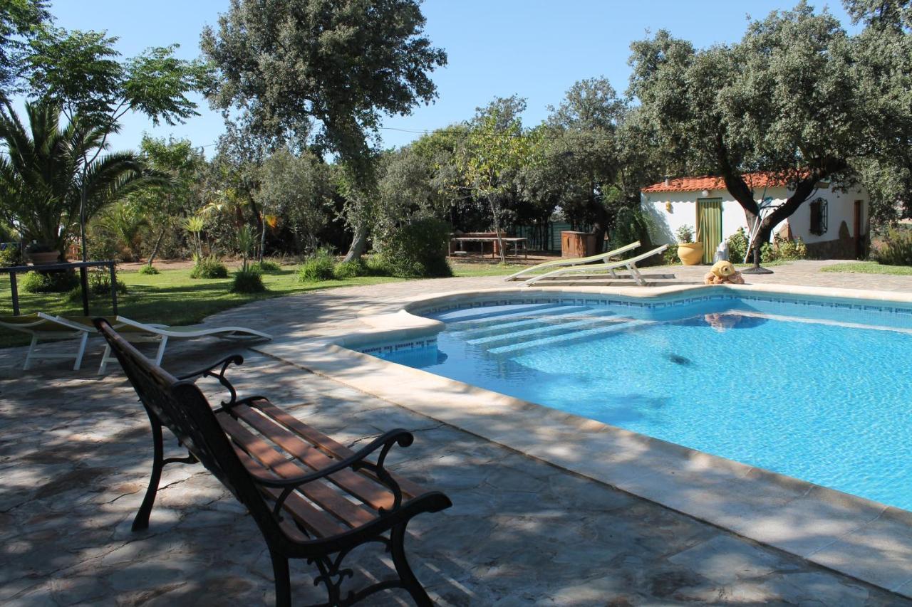 Casa Rural La Coscoja 梅里达 外观 照片