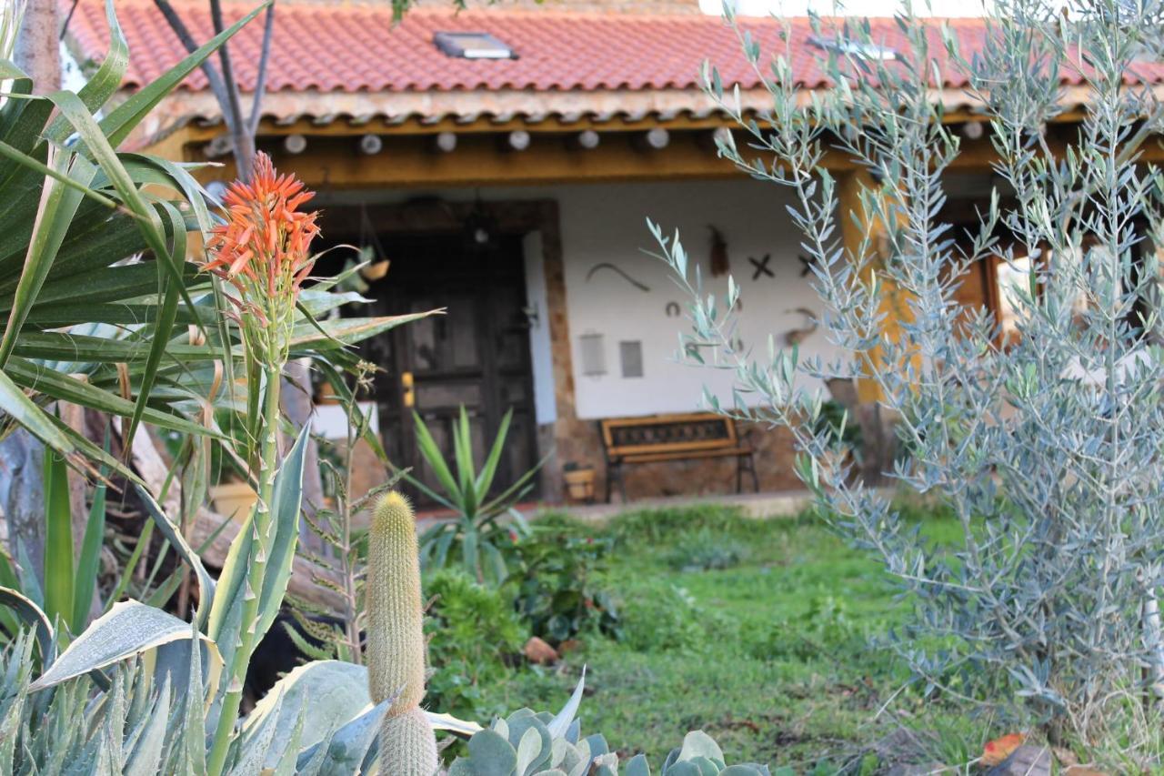 Casa Rural La Coscoja 梅里达 外观 照片