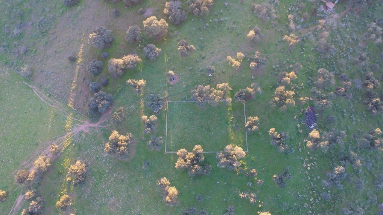 Casa Rural La Coscoja 梅里达 外观 照片