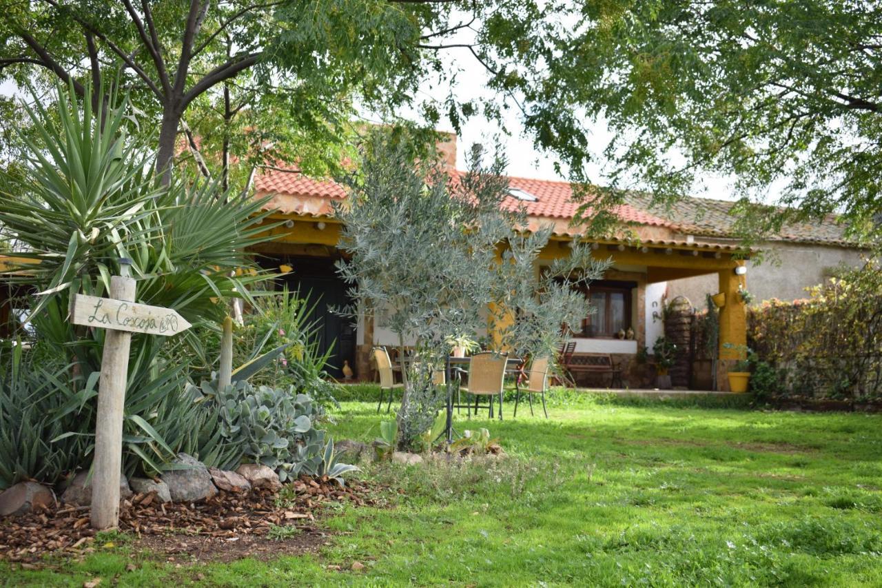Casa Rural La Coscoja 梅里达 外观 照片